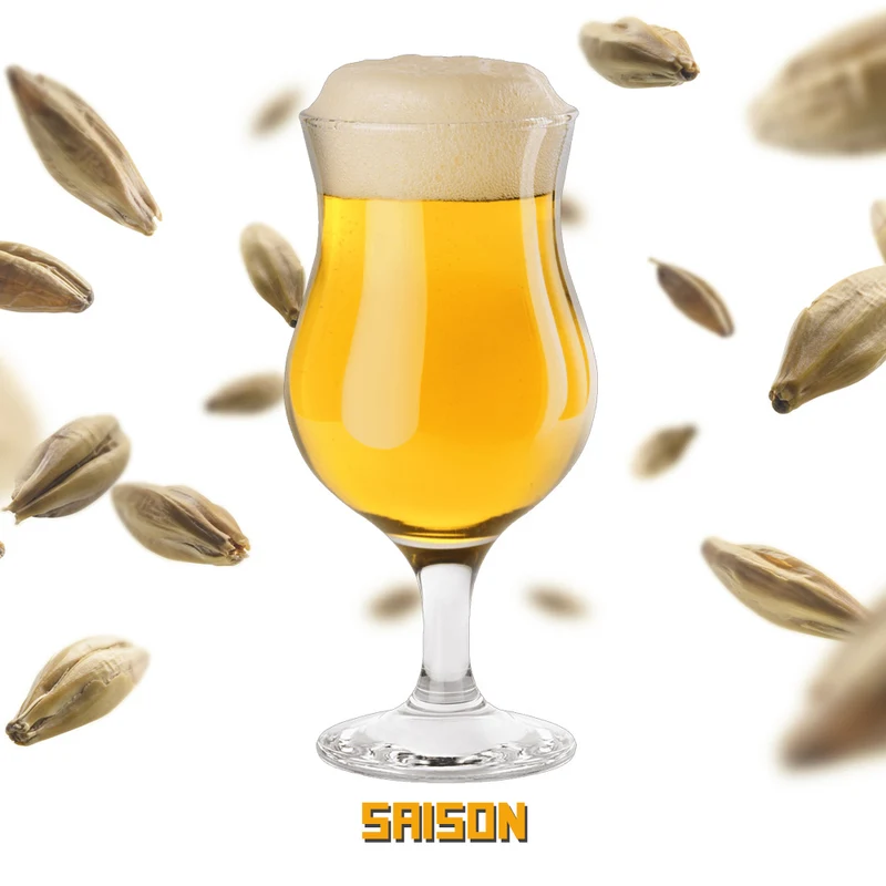 Saison - Recette tout grain 20L - Hoppy.ca