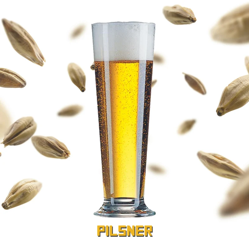 Pilsner - Recette tout grain 20L - Hoppy.ca