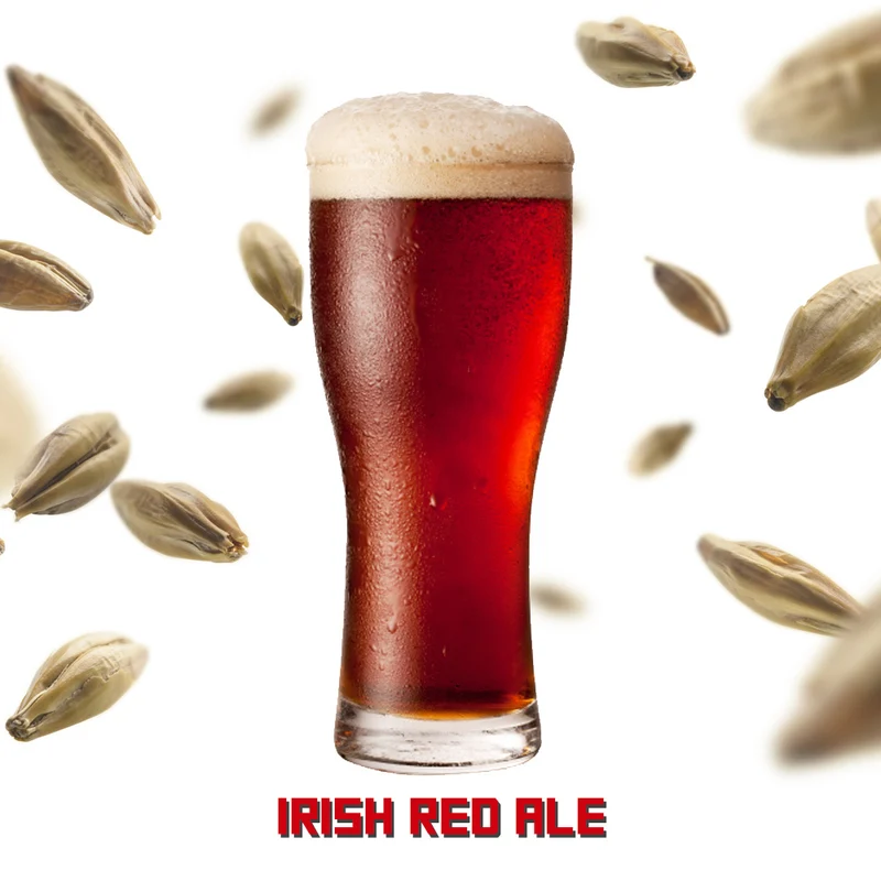 Irish Red Ale - Recette tout grain 20L - Hoppy.ca