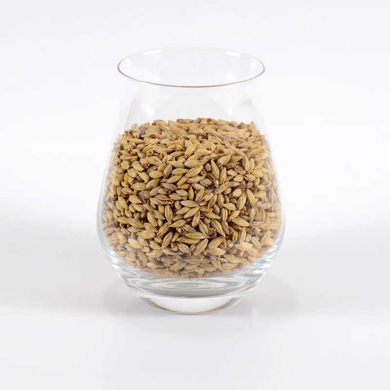 Honey Malt - Gambrinus