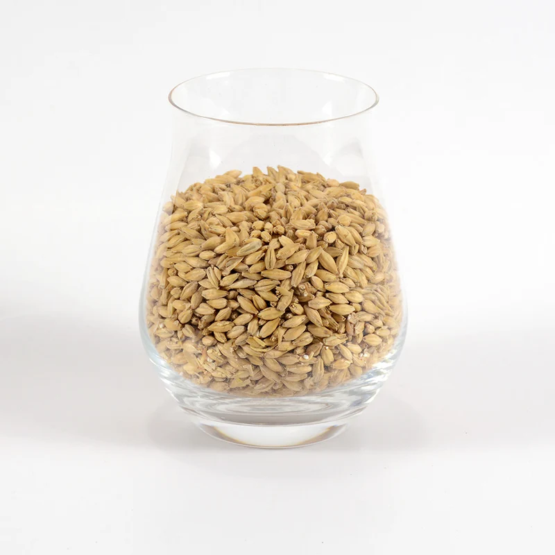 Organic Pale Malt - Gambrinus