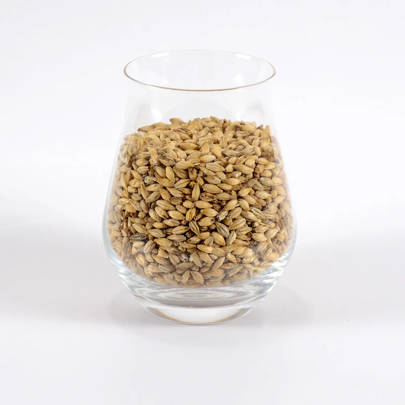 Malt Pâle (style anglais) - Le Maltraiteur