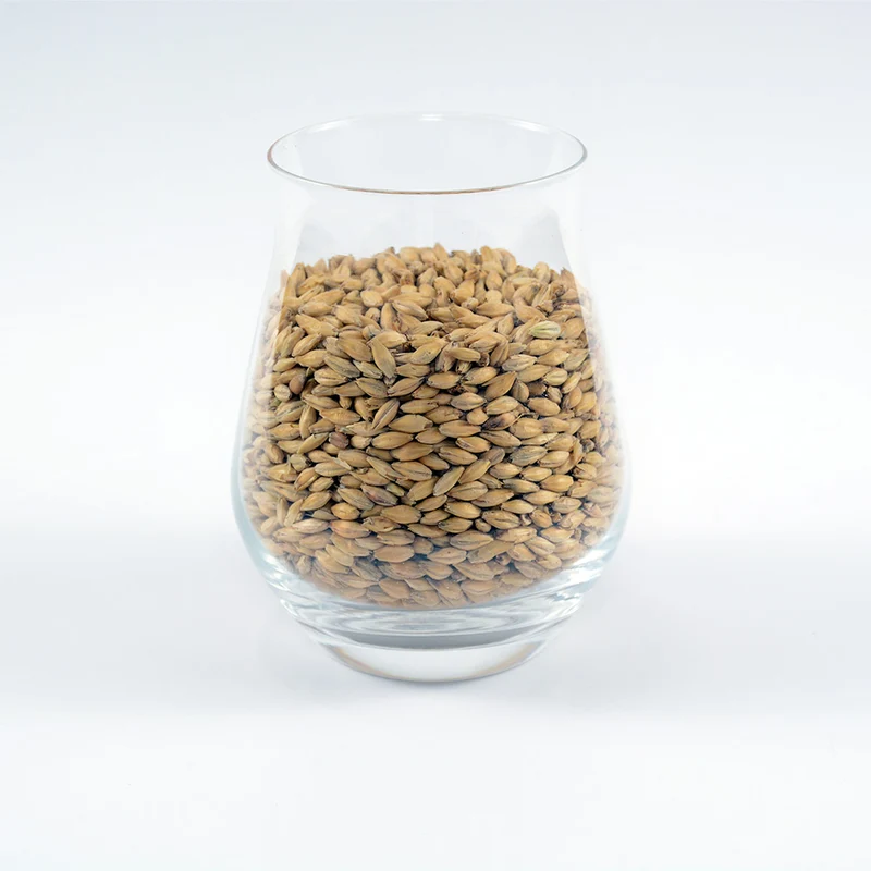 Standard 2-Row Pale Malt - Rahr